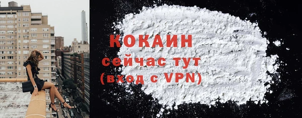 спайс Арсеньев