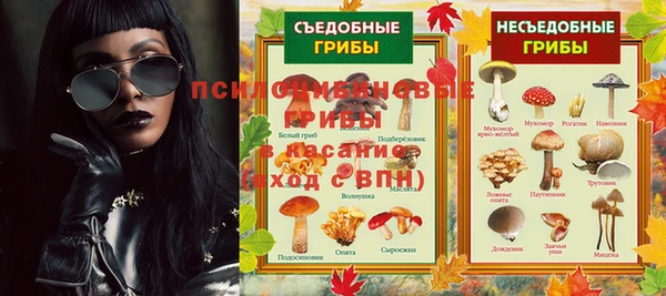 твердый Алексин
