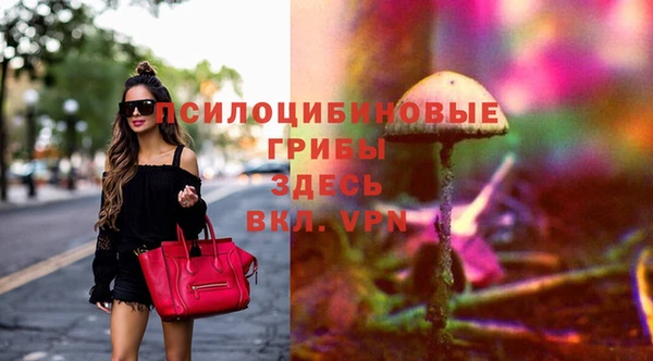 mdpv Алзамай
